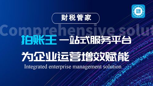 拍賬王 備受矚目的互聯(lián)網(wǎng)財(cái)稅服務(wù)品牌